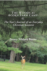 The Woods at Acorn Farm Camp